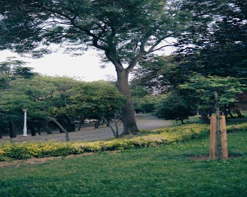 Urban park landscape with trees and pathways, ideal for taking physical and mental breaks